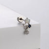 Titanium Steel Zircon Women's Princess Style Flower Drop Shape Geometric Earrings
