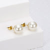 Trendy Simple Pearl Geometry Earrings For Women Electroplated Titanium Steel Elegant Fashion Jewelry Gift
