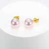 Trendy Simple Pearl Geometry Earrings For Women Electroplated Titanium Steel Elegant Fashion Jewelry Gift