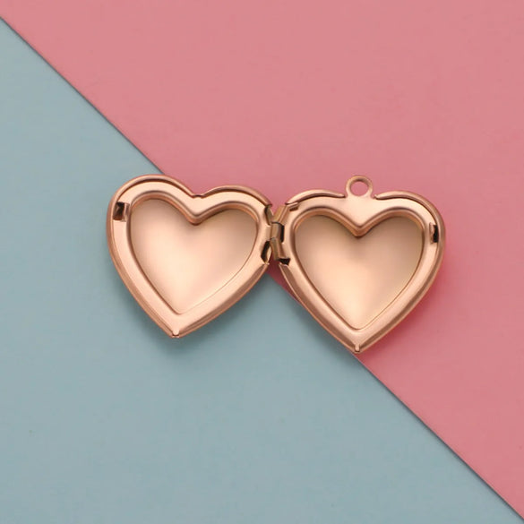 1 Piece Stainless Steel None 18K Gold Plated Rose Gold Plated Heart Shape