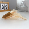 Whale Shark Acetate Handmade Grip Clip For Women Ocean Wind Cartoon Fun Hairpin