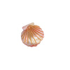 Wholesale Acetic Acid Handmade Cute Mini Hairpin For Women Shell Style Hair Accessories