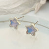 Wholesale Alloy Animal Zodiac Electroplated Women's Earrings In Ocean Summer Beach Style