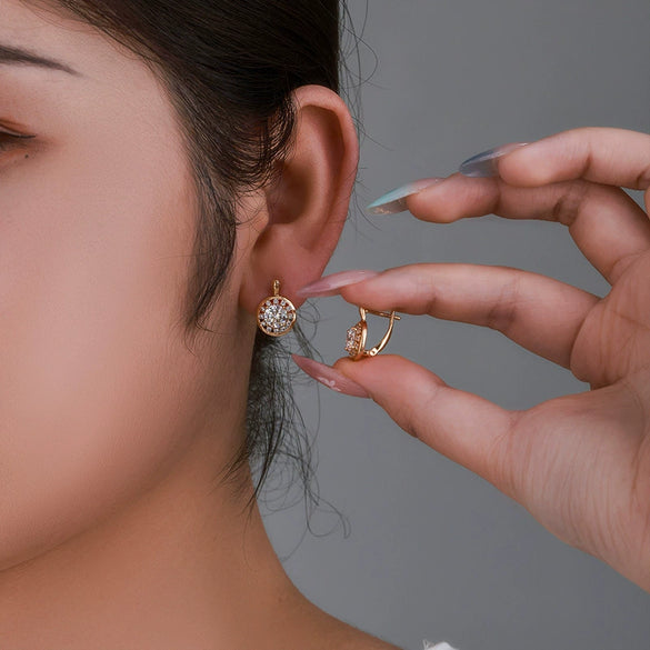 Wholesale Alloy Electroplated Retro Geometric Style Women's Earrings