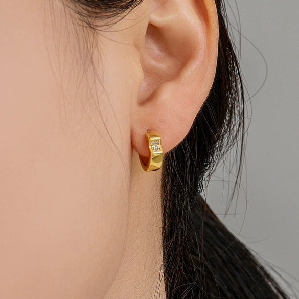 Wholesale Alloy Geometric Electroplated Light Luxury Style Earrings For Women