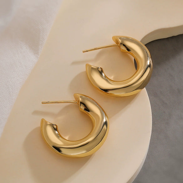 Wholesale Copper Goldplated Geometric Earrings For Women Lazy Style Irregular Shape