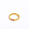 Wholesale December Birthstone Zircon Ring Titanium Steel Geometric Minimalist Style Women's 18K Gold Plated