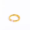 Wholesale December Birthstone Zircon Ring Titanium Steel Geometric Minimalist Style Women's 18K Gold Plated