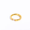 Wholesale December Birthstone Zircon Ring Titanium Steel Geometric Minimalist Style Women's 18K Gold Plated