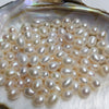 Wholesale Dropshaped Freshwater Pearl Naked Beads