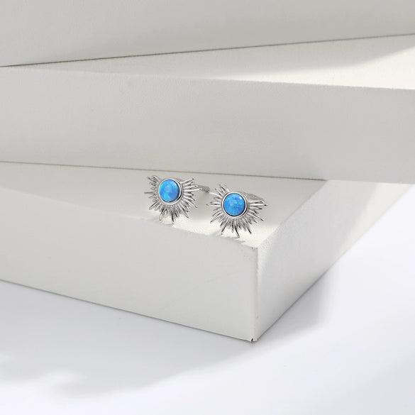 Wholesale Ear Studs S925 Sterling Silver Irregular Fanshaped Semiround Geometric Electroplating Vintage Light Luxury Minimalist Women's
