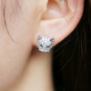Wholesale Earrings Copper Leopard Head Diamond Zircon Animals Zodiac Style