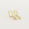 Wholesale Earrings S925 Silver Conch Animal Zodiac Niche Style Electroplated For Women