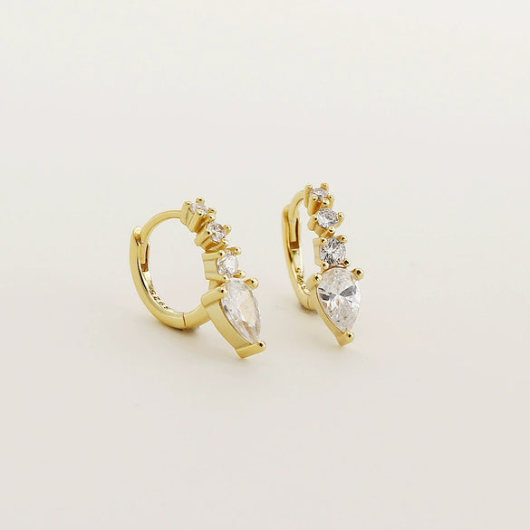 Wholesale Earrings S925 Silver Geometric Electroplated Light Luxury Style For Women