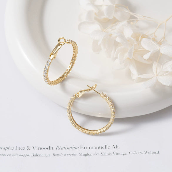 Wholesale Earrings S925 Sterling Silver Niche Design Light Luxury Micro Inlaid Zirconium Electroplated Unisex