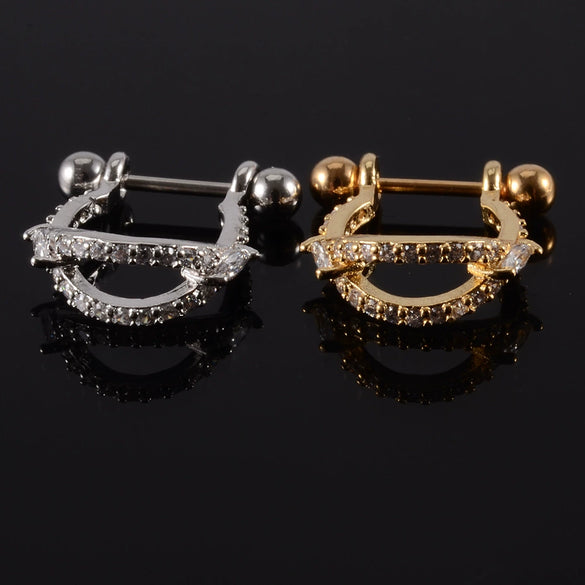 Wholesale Earrings Stainless Steel Copper Inlaid Zircon Leaf Heartshaped Fashionable