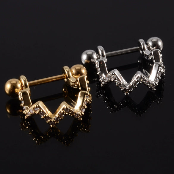 Wholesale Earrings Stainless Steel Copper Inlaid Zircon Leaf Heartshaped Fashionable