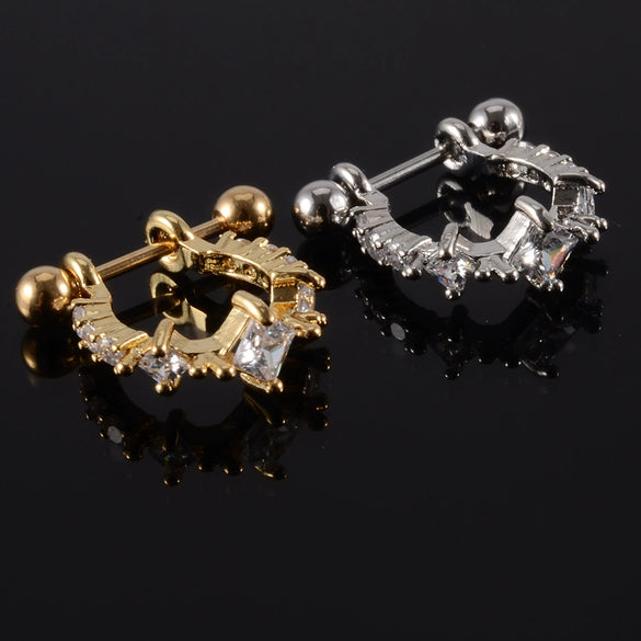 Wholesale Earrings Stainless Steel Copper Inlaid Zircon Leaf Heartshaped Fashionable