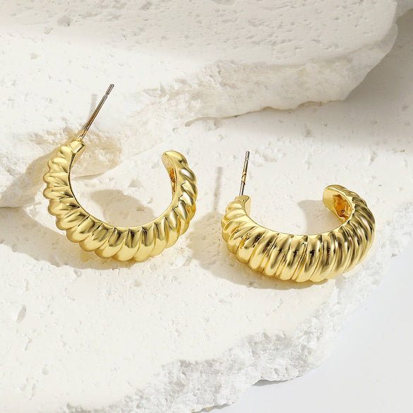 Wholesale Earrings Zinc Alloy Geometric Cshaped Electroplating Simple Style Women's
