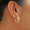 Wholesale Earrings Zinc Alloy Geometric Cshaped Electroplating Simple Style Women's