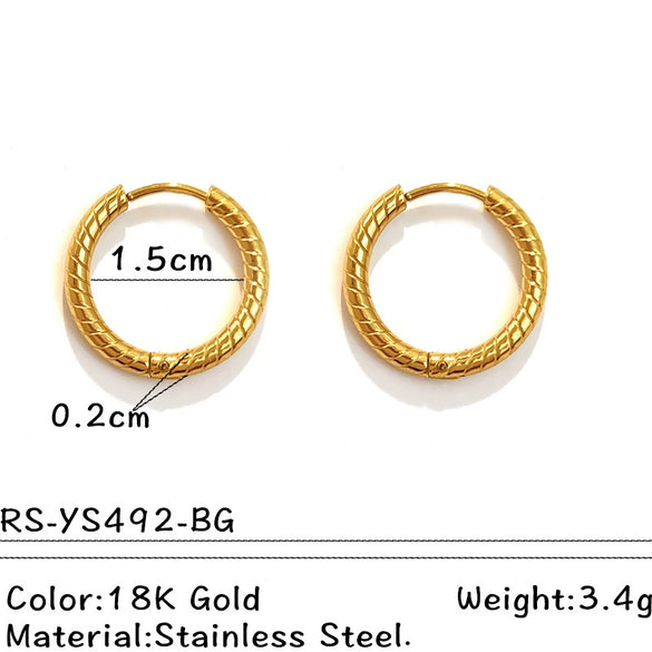 Wholesale Electroplated Titanium Steel Stainless Steel Personality Earrings