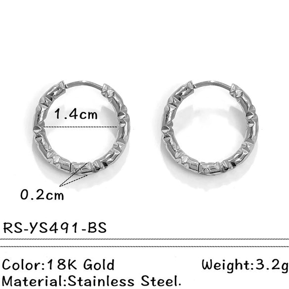Wholesale Electroplated Titanium Steel Stainless Steel Personality Earrings