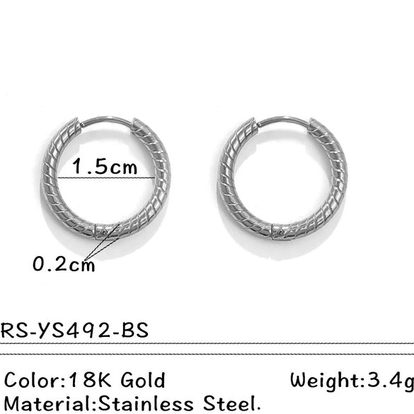 Wholesale Electroplated Titanium Steel Stainless Steel Personality Earrings