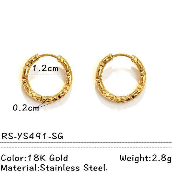 Wholesale Electroplated Titanium Steel Stainless Steel Personality Earrings