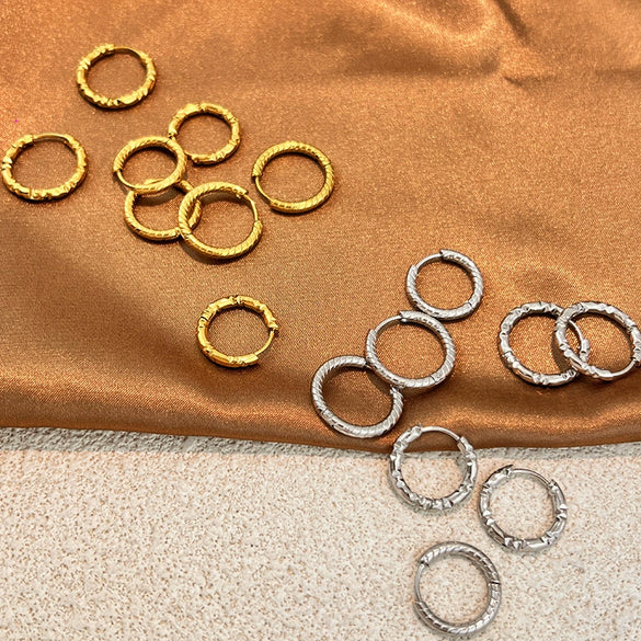 Wholesale Electroplated Titanium Steel Stainless Steel Personality Earrings