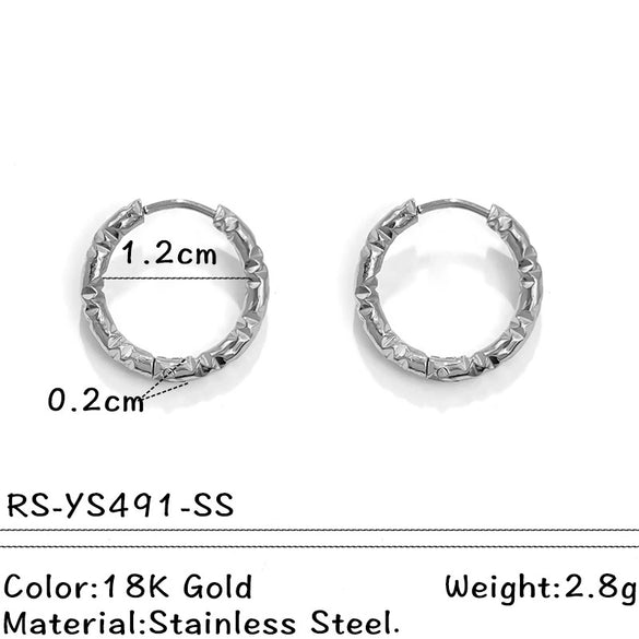 Wholesale Electroplated Titanium Steel Stainless Steel Personality Earrings