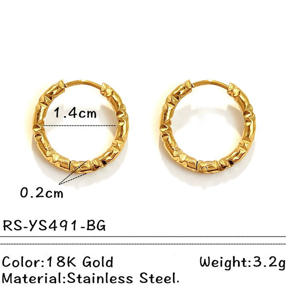 Wholesale Electroplated Titanium Steel Stainless Steel Personality Earrings