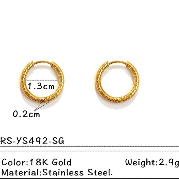 Wholesale Electroplated Titanium Steel Stainless Steel Personality Earrings
