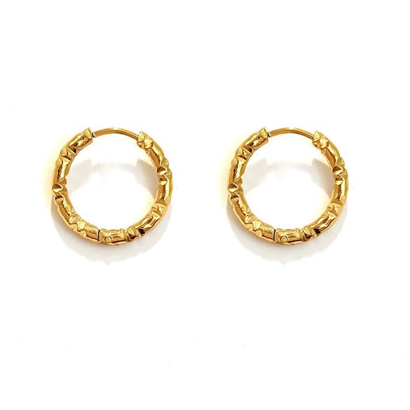 Wholesale Electroplated Titanium Steel Stainless Steel Personality Earrings