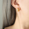 Wholesale Elegant Simple Titanium Steel Earrings With Inlaid Zircon Geometric U Shaped Design Gold Plated For Women