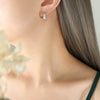 Wholesale Elegant Simple Titanium Steel Earrings With Inlaid Zircon Geometric U Shaped Design Gold Plated For Women