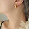 Wholesale Elegant Simple Titanium Steel Earrings With Inlaid Zircon Geometric U Shaped Design Gold Plated For Women