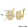 Wholesale Exaggerated Geometric Copper Inlaid Zircon Earrings For Women And Men