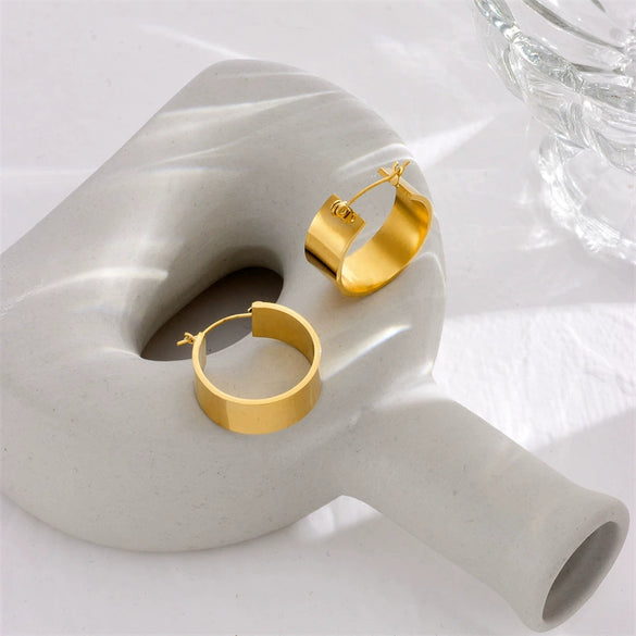 Wholesale Exaggerated Round Ear Buckle Earrings In Advanced Cold Style Titanium Steel Geometric Pattern