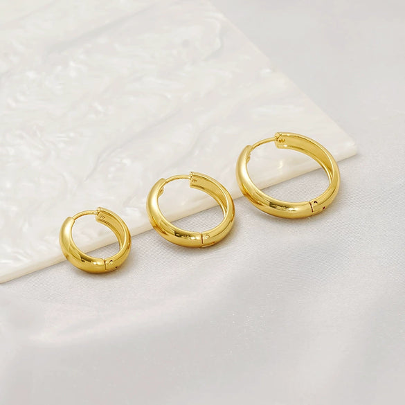 Wholesale Fashion Allmatch Geometric 316L Stainless Steel Electroplated Earrings For Women
