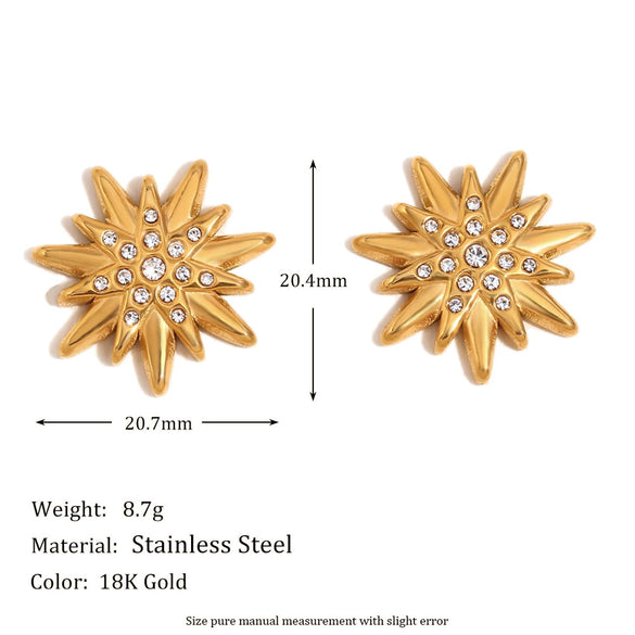 Wholesale Fashion Elegant Niche Highend Women's Stainless Steel Star Pattern Electroplated Earrings