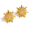 Wholesale Fashion Elegant Niche Highend Women's Stainless Steel Star Pattern Electroplated Earrings