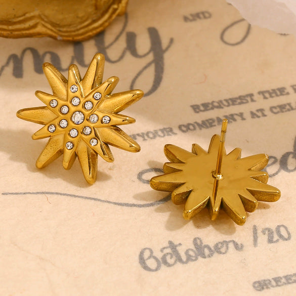 Wholesale Fashion Elegant Niche Highend Women's Stainless Steel Star Pattern Electroplated Earrings