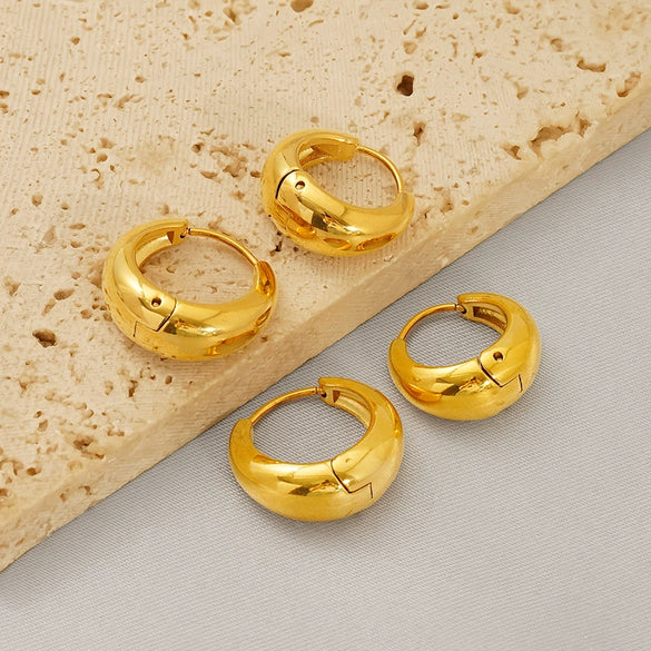 Wholesale Fashion Geometric Stainless Steel Electroplated Earrings For Women