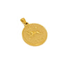 Wholesale Fashion Simple Stainless Steel Constellation Single Pendant With Electroplating For Men And Women