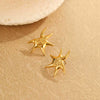 Wholesale Fashion Stainless Steel Earrings And Necklace With Geometric And Star Patterns Electroplated For Women
