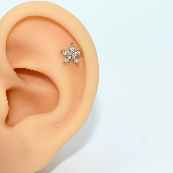 Wholesale Fashion Unisex Stainless Steel And G23 Titanium Earrings And Lip Nail With Moon Flower Pattern And Polishing Treatment