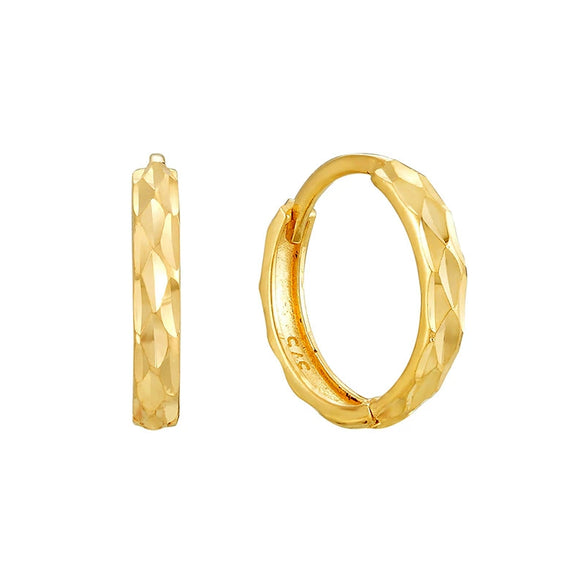 Wholesale Fashion Versatile Retro Elegant Geometric Ushape Silver Needle Copper Hoop Earrings For Women With Electroplating
