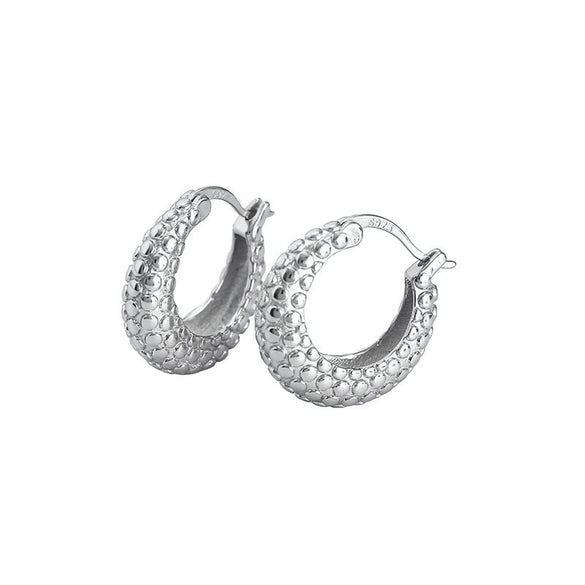Wholesale Fashion Versatile Retro Elegant Geometric Ushape Silver Needle Copper Hoop Earrings For Women With Electroplating
