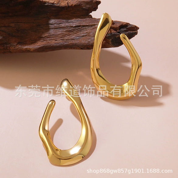 Wholesale Fashionable Simple Exaggerated Stainless Steel Flower Geometric Glossy Earrings With Stamping