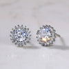 Wholesale Fashionable Sweet Flower Zircon Earrings For Women Copper Plated White Gold